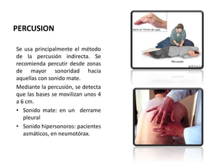 PERCUSION
Se usa principalmente el método
de la percusión indirecta. Se
recomienda percutir desde zonas
de mayor sonoridad hacia
aquellas con sonido mate.
Mediante la percusión, se detecta
que las bases se movilizan unos 4
a 6 cm.
• Sonido mate: en un derrame
pleural
• Sonido hipersonoros: pacientes
asmáticos, en neumotórax.
 