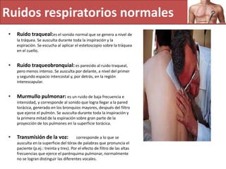 Ruidos respiratorios normales
• Ruido traqueal:es el sonido normal que se genera a nivel de
la tráquea. Se ausculta durante toda la inspiración y la
espiración. Se escucha al aplicar el estetoscopio sobre la tráquea
en el cuello.
• Ruido traqueobronquial: es parecido al ruido traqueal,
pero menos intenso. Se ausculta por delante, a nivel del primer
y segundo espacio intercostal y, por detrás, en la región
interescapular.
• Murmullo pulmonar: es un ruido de baja frecuencia e
intensidad, y corresponde al sonido que logra llegar a la pared
torácica, generado en los bronquios mayores, después del filtro
que ejerce el pulmón. Se ausculta durante toda la inspiración y
la primera mitad de la espiración sobre gran parte de la
proyección de los pulmones en la superficie torácica.
• Transmisión de la voz: corresponde a lo que se
ausculta en la superficie del tórax de palabras que pronuncia el
paciente (p.ej.: treinta y tres). Por el efecto de filtro de las altas
frecuencias que ejerce el parénquima pulmonar, normalmente
no se logran distinguir las diferentes vocales.
 