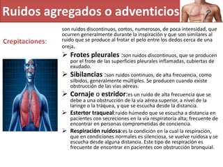 Ruidos agregados o adventicios
Crepitaciones:
son ruidos discontinuos, cortos, numerosos, de poca intensidad, que
ocurren generalmente durante la inspiración y que son similares al
ruido que se produce al frotar el pelo entre los dedos cerca de una
oreja.
 Frotes pleurales :son ruidos discontinuos, que se producen
por el frote de las superficies pleurales inflamadas, cubiertas de
exudado.
 Sibilancias :son ruidos continuos, de alta frecuencia, como
silbidos, generalmente múltiples. Se producen cuando existe
obstrucción de las vías aéreas.
 Cornaje o estridor:es un ruido de alta frecuencia que se
debe a una obstrucción de la vía aérea superior, a nivel de la
laringe o la tráquea, y que se escucha desde la distancia.
 Estertor traqueal:ruido húmedo que se escucha a distancia en
pacientes con secreciones en la vía respiratoria alta; frecuente de
encontrar en personas comprometidas de conciencia.
 Respiración ruidosa:es la condición en la cual la respiración,
que en condiciones normales es silenciosa, se vuelve ruidosa y se
escucha desde alguna distancia. Este tipo de respiración es
frecuente de encontrar en pacientes con obstrucción bronquial.
 