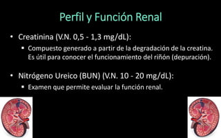 Perfil y Función Renal
• Creatinina (V.N. 0,5 - 1,3 mg/dL):
 Compuesto generado a partir de la degradación de la creatina.
Es útil para conocer el funcionamiento del riñón (depuración).
• Nitrógeno Ureico (BUN) (V.N. 10 - 20 mg/dL):
 Examen que permite evaluar la función renal.
 