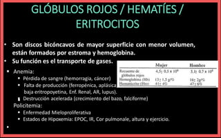 GLÓBULOS ROJOS / HEMATÍES /
ERITROCITOS

 Anemia:
 Pérdida de sangre (hemorragia, cáncer)
 Falta de producción (ferropénica, aplásica,
baja eritropoyetina, Enf. Renal, AR, lupus).
 Destrucción acelerada (crecimiento del bazo, falciforme)
Policitemia:
 Enfermedad Mieloproliferativa
 Estados de Hipoxemia: EPOC, IR, Cor pulmonale, altura y ejercicio.
•
• Son discos bicóncavos de mayor superficie con menor volumen,
están formados por estroma y hemoglobina.
• Su función es el transporte de gases.
 
