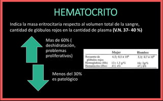 HEMATOCRITO
Indica la masa eritrocitaria respecto al volumen total de la sangre,
cantidad de glóbulos rojos en la cantidad de plasma (V.N. 37- 40 %)
Mas de 60% (
deshidratación,
problemas
proliferativos)
Menos del 30%
es patológico
 
