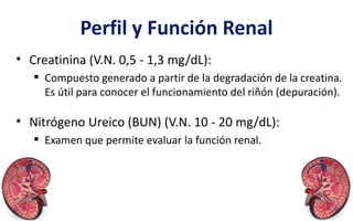 Perfil y Función Renal
• Creatinina (V.N. 0,5 - 1,3 mg/dL):
 Compuesto generado a partir de la degradación de la creatina.
Es útil para conocer el funcionamiento del riñón (depuración).
• Nitrógeno Ureico (BUN) (V.N. 10 - 20 mg/dL):
 Examen que permite evaluar la función renal.
 