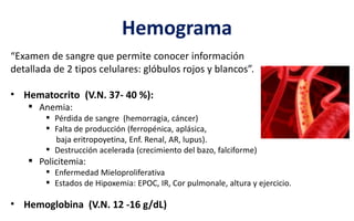 Hemograma
“Examen de sangre que permite conocer información
detallada de 2 tipos celulares: glóbulos rojos y blancos”.
• Hematocrito (V.N. 37- 40 %):
 Anemia:
 Pérdida de sangre (hemorragia, cáncer)
 Falta de producción (ferropénica, aplásica,
baja eritropoyetina, Enf. Renal, AR, lupus).
 Destrucción acelerada (crecimiento del bazo, falciforme)
 Policitemia:
 Enfermedad Mieloproliferativa
 Estados de Hipoxemia: EPOC, IR, Cor pulmonale, altura y ejercicio.
• Hemoglobina (V.N. 12 -16 g/dL)
 
