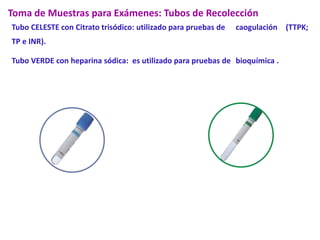 Tubo CELESTE con Citrato trisódico: utilizado para pruebas de caogulación (TTPK;
TP e INR).
Tubo VERDE con heparina sódica: es utilizado para pruebas de bioquímica .
Toma de Muestras para Exámenes: Tubos de Recolección
 