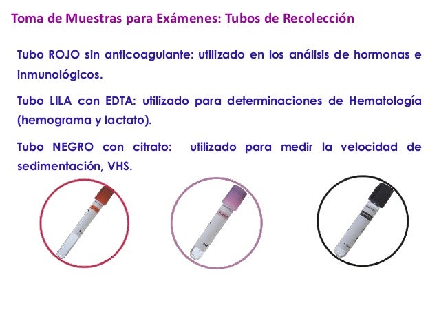 Exámenes de laboratorio_2012