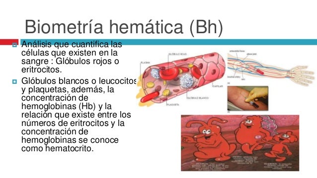 Exámenes de laboratorio y de gabinete los mas utilizados