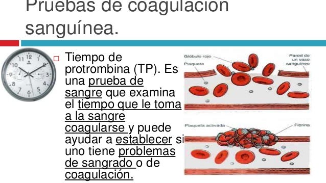 Exámenes de laboratorio y de gabinete los mas utilizados