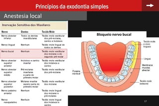 17
Princípios da exodontia simples
Anestesia local
Bloqueio nervo bucal
 
