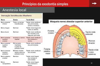 18
Princípios da exodontia simples
Anestesia local
Bloqueio nervo alveolar superior anterior
 