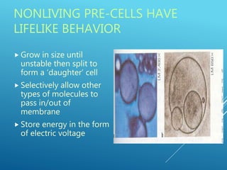 Pre Cell EVOLUTION | PPT