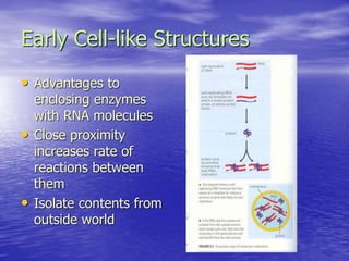 Early Cell-like Structures
• Advantages to
enclosing enzymes
with RNA molecules
• Close proximity
increases rate of
reactions between
them
• Isolate contents from
outside world
 