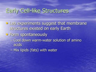 Early Cell-like Structures
• Lab experiments suggest that membrane
structures existed on early Earth
• Form spontaneously
– Cool down warm-water solution of amino
acids
– Mix lipids (fats) with water
 