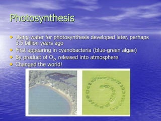 Photosynthesis
• Using water for photosynthesis developed later, perhaps
3.5 billion years ago
• First appearing in cyanobacteria (blue-green algae)
• By product of O2, released into atmosphere
• Changed the world!
 