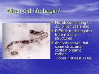 When did life begin?
• Microfossils dating to
3.5 billion years ago
• Difficult to distinguish
from mineral
structures
• Analysis shows that
some structures
contain organic
carbon
-found in at least 3 sites
 