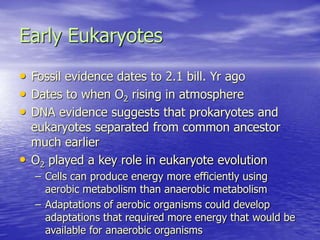 Early Eukaryotes
• Fossil evidence dates to 2.1 bill. Yr ago
• Dates to when O2 rising in atmosphere
• DNA evidence suggests that prokaryotes and
eukaryotes separated from common ancestor
much earlier
• O2 played a key role in eukaryote evolution
– Cells can produce energy more efficiently using
aerobic metabolism than anaerobic metabolism
– Adaptations of aerobic organisms could develop
adaptations that required more energy that would be
available for anaerobic organisms
 