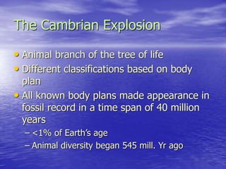 The Cambrian Explosion
• Animal branch of the tree of life
• Different classifications based on body
plan
• All known body plans made appearance in
fossil record in a time span of 40 million
years
– <1% of Earth’s age
– Animal diversity began 545 mill. Yr ago
 