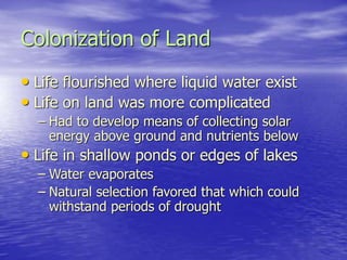 Colonization of Land
• Life flourished where liquid water exist
• Life on land was more complicated
– Had to develop means of collecting solar
energy above ground and nutrients below
• Life in shallow ponds or edges of lakes
– Water evaporates
– Natural selection favored that which could
withstand periods of drought
 