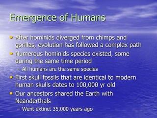 Emergence of Humans
• After hominids diverged from chimps and
gorillas, evolution has followed a complex path
• Numerous hominids species existed, some
during the same time period
– All humans are the same species
• First skull fossils that are identical to modern
human skulls dates to 100,000 yr old
• Our ancestors shared the Earth with
Neanderthals
– Went extinct 35,000 years ago
 