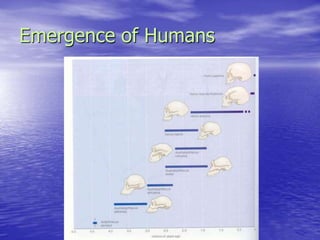 Emergence of Humans
 