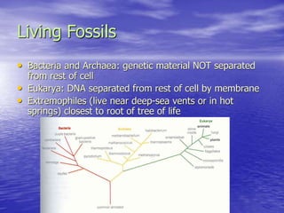 Living Fossils
• Bacteria and Archaea: genetic material NOT separated
from rest of cell
• Eukarya: DNA separated from rest of cell by membrane
• Extremophiles (live near deep-sea vents or in hot
springs) closest to root of tree of life
 