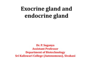Exocrine gland and
endocrine gland
Dr. P. Suganya
Assistant Professor
Department of Biotechnology
Sri Kaliswari College (Autonomous), Sivakasi
 