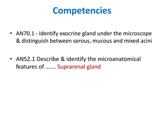 Competencies
• AN70.1 - Identify exocrine gland under the microscope
& distinguish between serous, mucous and mixed acini
• AN52.1 Describe & identify the microanatomical
features of ……. Suprarenal gland
 