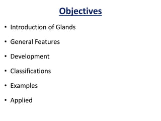 Objectives
• Introduction of Glands
• General Features
• Development
• Classifications
• Examples
• Applied
 