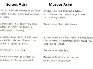 Serous Acini Mucous Acini
 