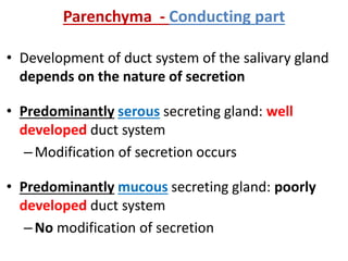 • Development of duct system of the salivary gland
depends on the nature of secretion
• Predominantly serous secreting gland: well
developed duct system
–Modification of secretion occurs
• Predominantly mucous secreting gland: poorly
developed duct system
–No modification of secretion
Parenchyma - Conducting part
 