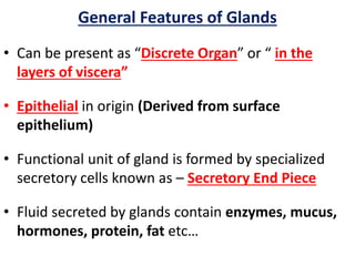 General Features of Glands
• Can be present as “Discrete Organ” or “ in the
layers of viscera”
• Epithelial in origin (Derived from surface
epithelium)
• Functional unit of gland is formed by specialized
secretory cells known as – Secretory End Piece
• Fluid secreted by glands contain enzymes, mucus,
hormones, protein, fat etc…
 
