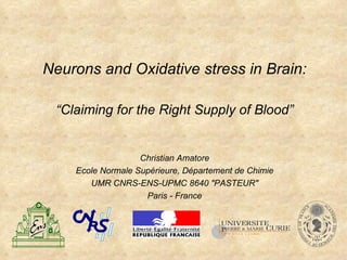 Neurons and Oxidative stress in Brain: “Claiming for the Right Supply of Blood” Christian Amatore Ecole Normale Supérieure, Département de Chimie UMR CNRS-ENS-UPMC 8640 &quot;PASTEUR&quot; Paris - France 