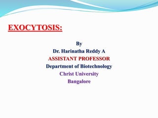 EXOCYTOSIS:
By
Dr. Harinatha Reddy A
ASSISTANT PROFESSOR
Department of Biotechnology
Christ University
Bangalore
 