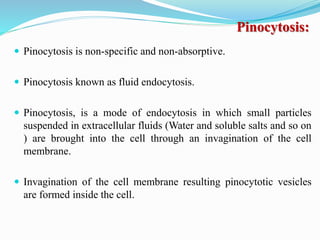 Pinocytosis:
 Pinocytosis is non-specific and non-absorptive.
 Pinocytosis known as fluid endocytosis.
 Pinocytosis, is a mode of endocytosis in which small particles
suspended in extracellular fluids (Water and soluble salts and so on
) are brought into the cell through an invagination of the cell
membrane.
 Invagination of the cell membrane resulting pinocytotic vesicles
are formed inside the cell.
 