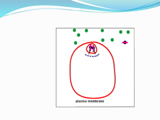 Exocytosis, endocytosis