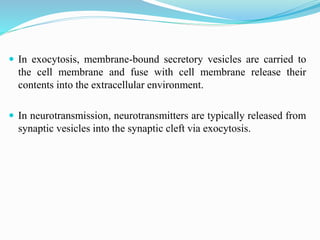  In exocytosis, membrane-bound secretory vesicles are carried to
the cell membrane and fuse with cell membrane release their
contents into the extracellular environment.
 In neurotransmission, neurotransmitters are typically released from
synaptic vesicles into the synaptic cleft via exocytosis.
 