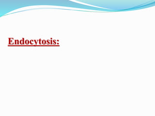 Endocytosis:
 