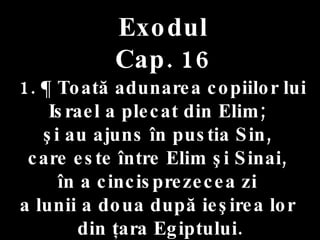 Exodul Cap. 16 1. ¶ Toată adunarea copiilor lui Israel a plecat din Elim;  şi au ajuns în pustia Sin,  care este între Elim şi Sinai,  în a cincisprezecea zi  a lunii a doua după ieşirea lor  din ţara Egiptului. 