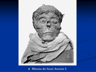 

Múmia do faraó Amósis I

 