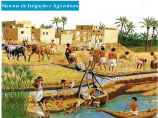 Sistema de Irrigação e Agricultura

 