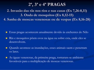 2ª, 3ª e 4ª PRAGAS
2. Invasão das rãs nos rios e nas casas (Ex 7,26-8,11)
3. Onda de mosquitos (Ex 8,12-15)
4. Sanha de moscas venenosas ou de vespas (Ex 8,16-28)



Essas pragas acontecem anualmente devido às enchentes do Nilo



Rãs e mosquitos põem ovos na água ou sobre esta, onde eles se
desenvolvem.



Quando acontece as inundações, esses animais saem e penetram
os lares.



As águas venenosas, da primeira praga, tornaram-se ambiente
favoráveis para a multiplicação de moscas venenosas.

 