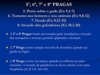 5ª, 6ª, 7ª e 8ª PRAGAS
5. Peste sobre o gado (Ex 9,1-7)
6. Tumores nos homens e nos animais (Ex 9,8-12)
7. Geada (Ex 9,13-35)
8. Invasão dos gafanhotos (Ex 10,1-20)


A 5ª e 6ª Pragas foram provocadas pelas inundações e invasão
dos mosquitos e moscas, gerando epidemias e doenças.



A 7ª Praga ocorre sempre nos mês de fevereiro, quando cai
geada no Egito.



A 8ª Praga ocorre em março, quando as colheitas já estão
crescidas. A invasão de gafanhotos se dá no oriente com certa
freqüência (cf. Jl 1,4; Am 4,9).

 