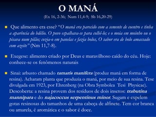 O MANÁ
(Ex 16, 2-36; Num 11,4-9; Sb 16,20-29)


Que alimento era esse? “O maná era parecido com a semente de coentro e tinha
a aparência do bdélio. O povo espalhava-se para colhê-lo; e o moia em moinho ou o
pisava num pilão; cozia-o em panelas e fazia bolos, O sabor era de bolo amassado
com azeite” (Nm 11,7-8).



Exegese: alimento criado por Deus e maravilhoso caído do céu. Hoje:
conhece-se os fenômenos naturais



Sinai: arbusto chamado tamaris manífera (produz maná em forma de
resina). Acharam planta que produzia o maná, por meio de sua resina. Tese
divulgada em 1923, por Ehrenberg (na Obra Symbolea Tesi Physicae).
Descoberta: a resina provem dos resíduos de dois insetos: trabutina
mannipara e do najacoccus serpentinus minor. Sugam e expelem
gotas resinosas do tamanhos de uma cabeça de alfinete. Tem cor branca
ou amarela, é aromática e o sabor é doce.

 