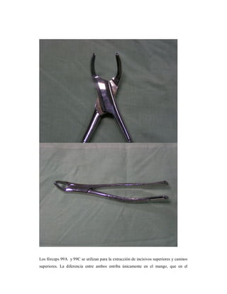 Los fórceps 99A y 99C se utilizan para la extracción de incisivos superiores y caninos 
superiores. La diferencia entre ambos estriba únicamente en el mango, que en el 
 