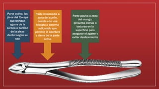 Parte activa, los
picos del fórceps
que brindan
agarre de la
corona o porción
de la pieza
dental según su
uso
Parte intermedia o
zona del cuello,
cuenta con una
bisagra o sistema
articulado que
permite la apertura
y cierre de la parte
activa
Parte pasiva o zona
del mango,
presenta estrías o
texturas en la
superficie para
asegurar el agarre y
evitar deslizamiento
 