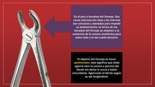 Es el pico o bocados del fórceps. Sus
caras externas son lisas y las internas
son cóncavas y estriadas para impedir
su deslizamiento, la forma de los
bocados del fórceps se adaptan a la
anatomía de la corona anatómica pero
sobre todo a la del cuello dentario.
El objetivo del fórceps es hacer
aprehensión, esto significa que debe
agarrar bien la corona o porción del
diente sin dañar la encía o tejido
circundante. Agarrando el diente según
su eje longitudinal.
 