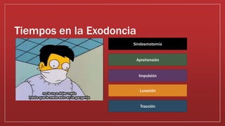 Tiempos en la Exodoncia
Impulsión
Luxación
Tracción
Aprehensión
Sindesmotomía
 