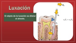 El objeto de la luxación es dilatar
el alveolo.
 
