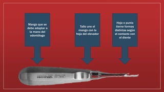 Mango que se
debe adaptar a
la mano del
odontólogo
Tallo une el
mango con la
hoja del elevador
Hoja o punta
tierne formas
distintas según
el contacto con
el diente
 