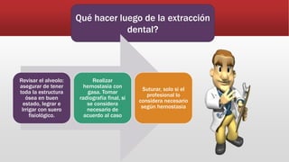 Qué hacer luego de la extracción
dental?
Revisar el alveolo:
asegurar de tener
toda la estructura
ósea en buen
estado, legrar e
Irrigar con suero
fisiológico.
Realizar
hemostasia con
gasa. Tomar
radiografía final, si
se considera
necesario de
acuerdo al caso
Suturar, solo si el
profesional lo
considera necesario
según hemostasia
 
